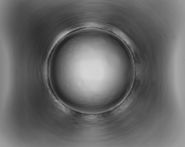 X0000115621048200911171312