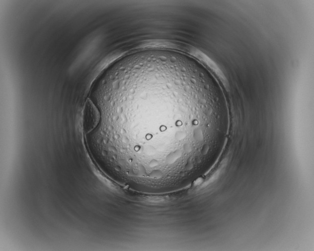 X0000115621049200911171312