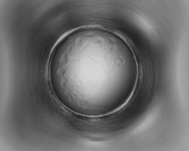 X0000115621052200911171312