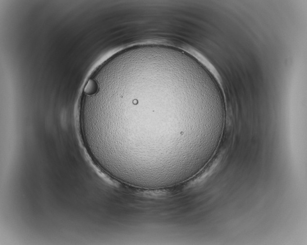 X0000115621053200911171312