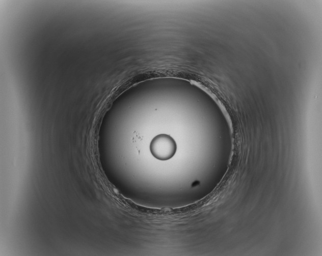 X0000115621057200911171311