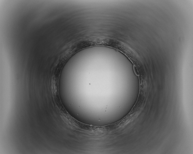 X0000115621058200911171311