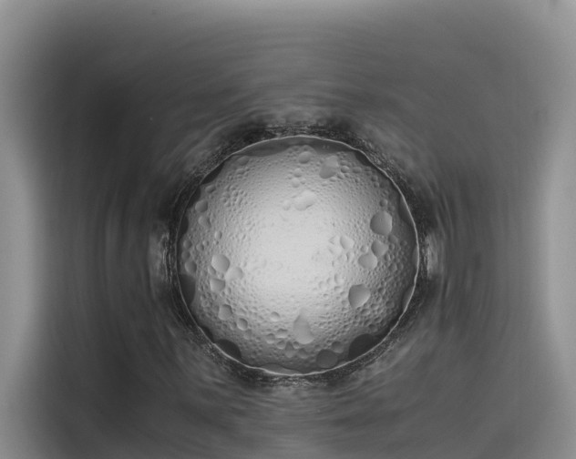 X0000115621059200911171311