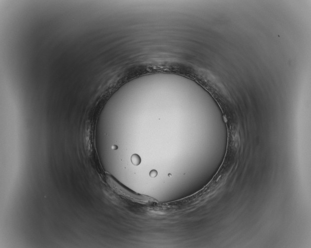 X0000115621060200911171311