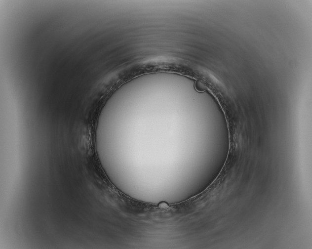 X0000115621062200911171311