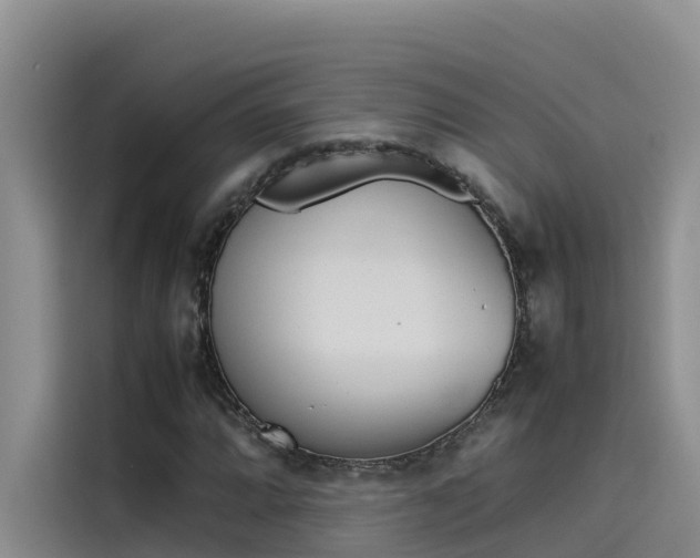 X0000115621064200911171311