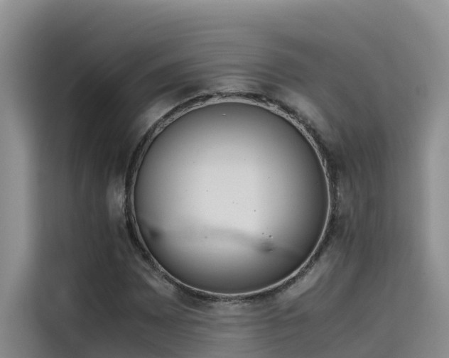 X0000115621065200911171311