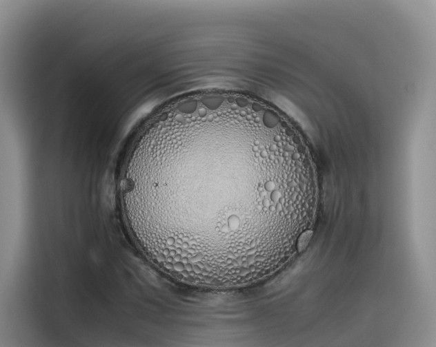 X0000115621067200911171311