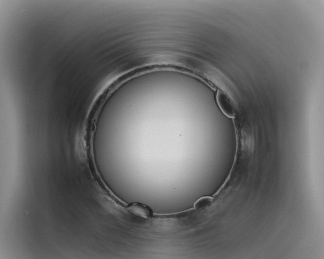 X0000115621068200911171311