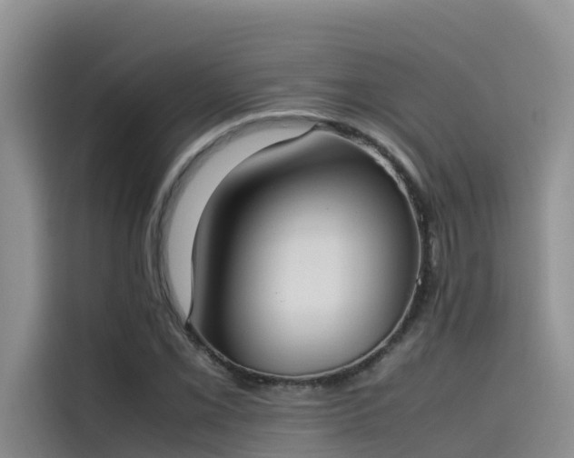 X0000115621069200911171311