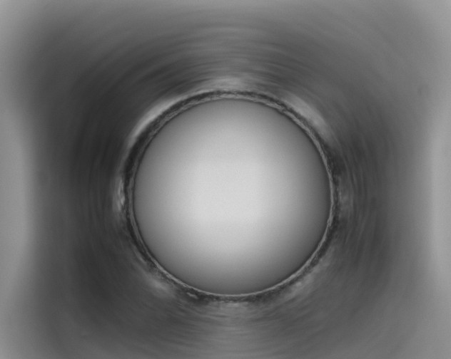 X0000115621070200911171311