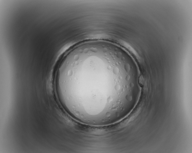 X0000115621071200911171311