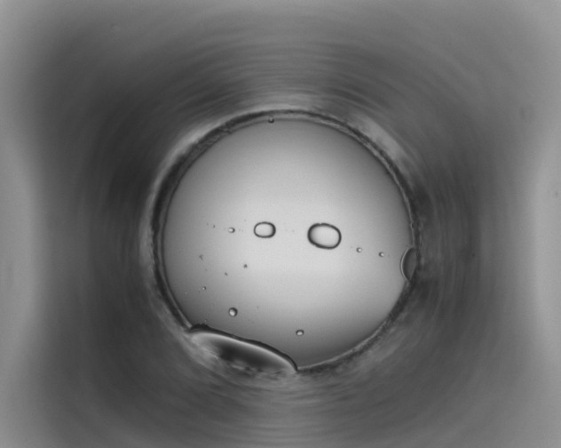 X0000115621072200911171311