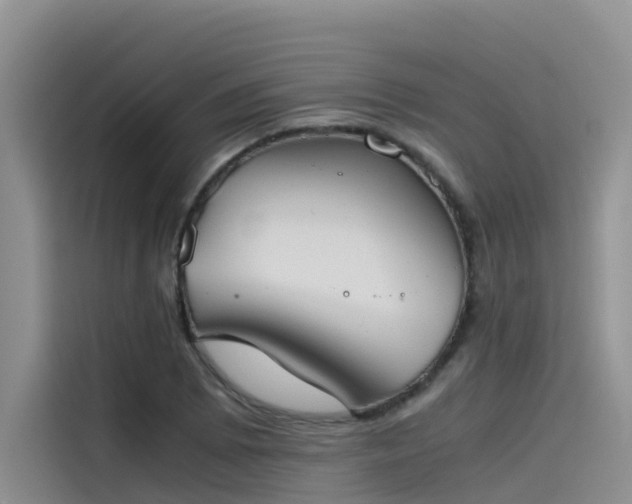 X0000115621073200911171311