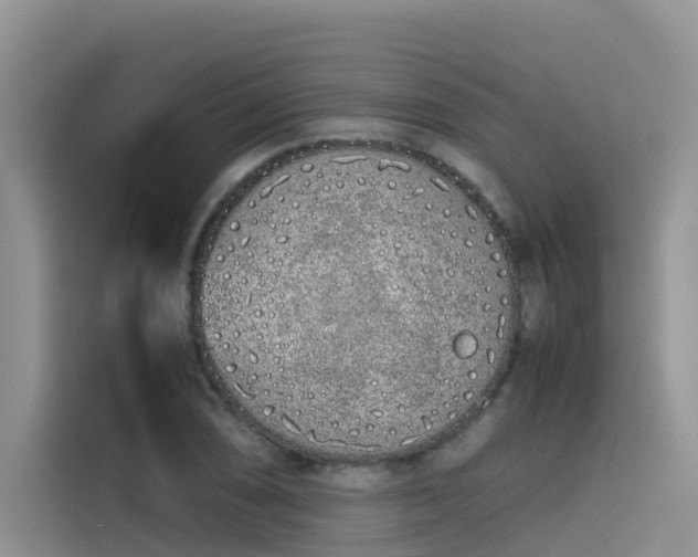 X0000115621074200911171311