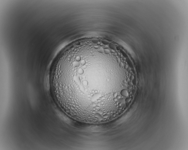 X0000115621075200911171311