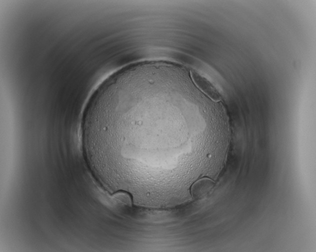 X0000115621076200911171311