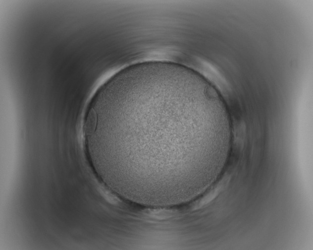 X0000115621077200911171311