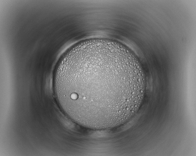 X0000115621078200911171311