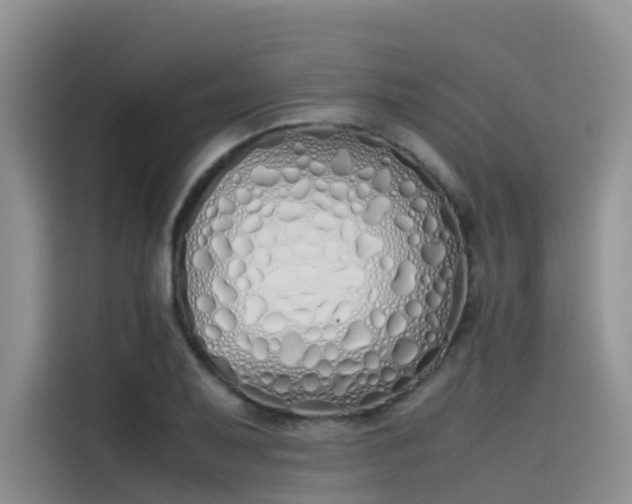 X0000115621079200911171311