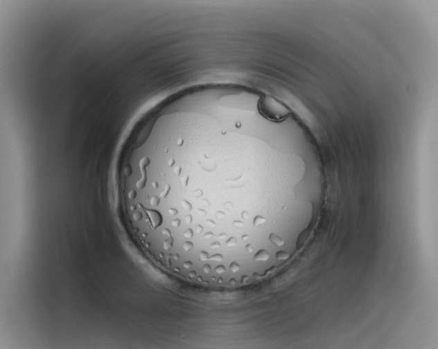 X0000115621080200911171311