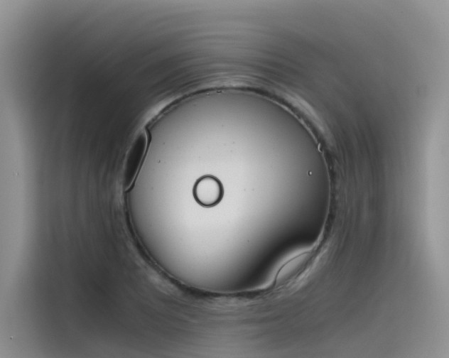 X0000115621081200911171311