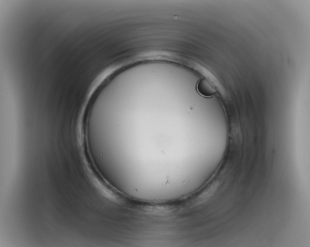 X0000115621082200911171311