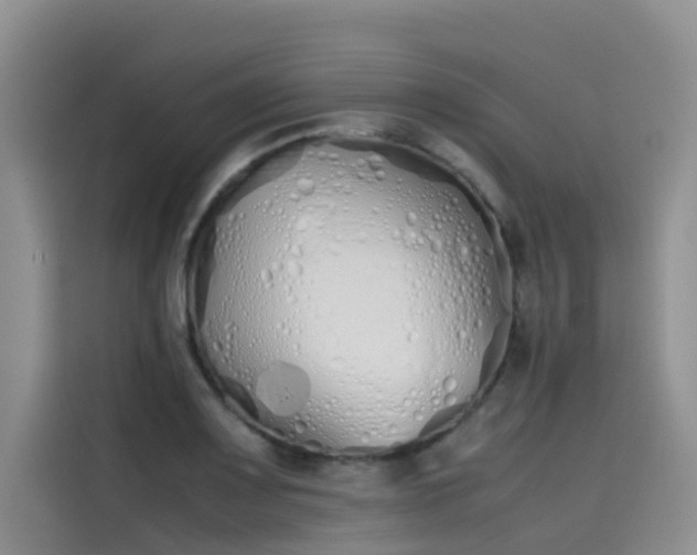 X0000115621083200911171311