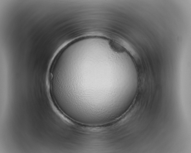 X0000115621084200911171311