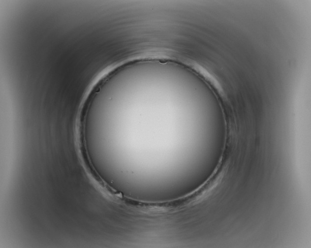 X0000115621085200911171311