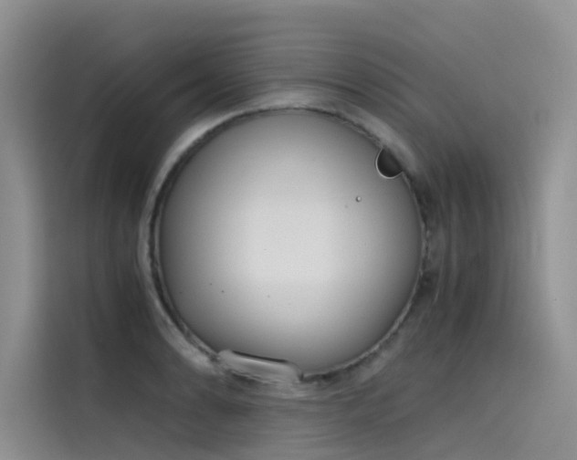 X0000115621086200911171311