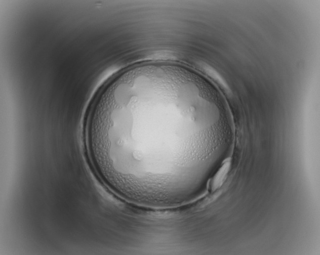 X0000115621087200911171311