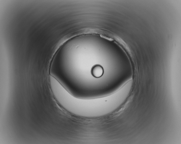 X0000115621089200911171311