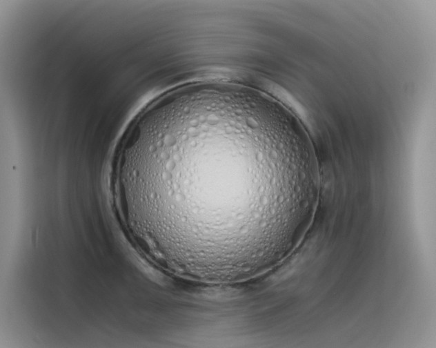 X0000115621091200911171311