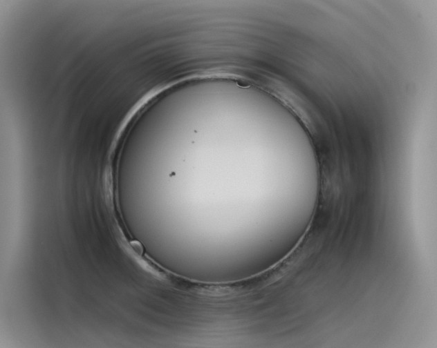 X0000115621092200911171311