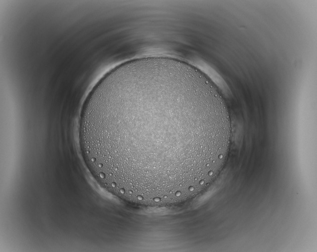 X0000115621094200911171311