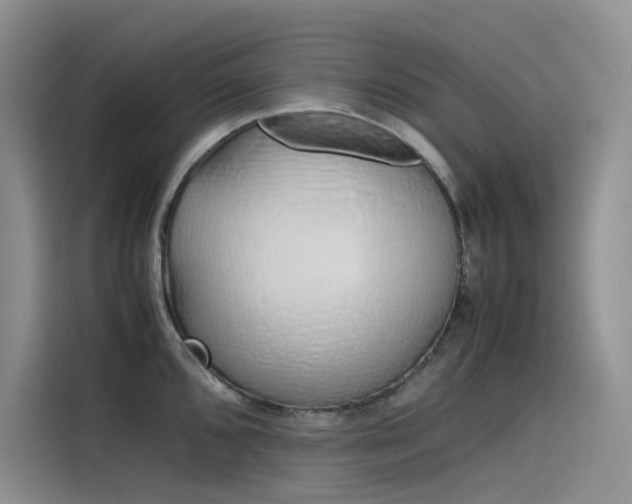 X0000115621096200911171311