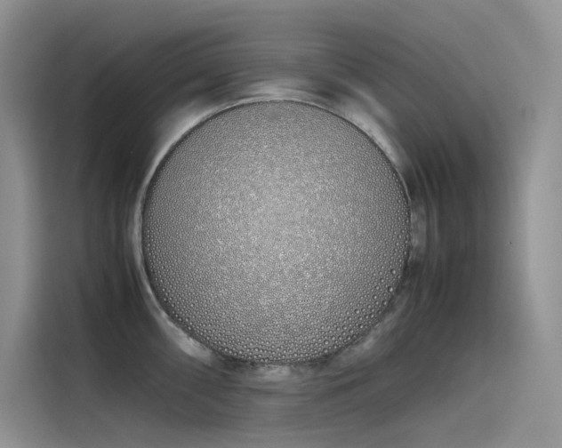 X0000115621098200911171311