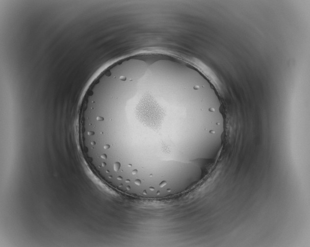 X0000115621100200911171311