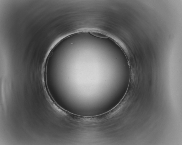 X0000115621102200911171311