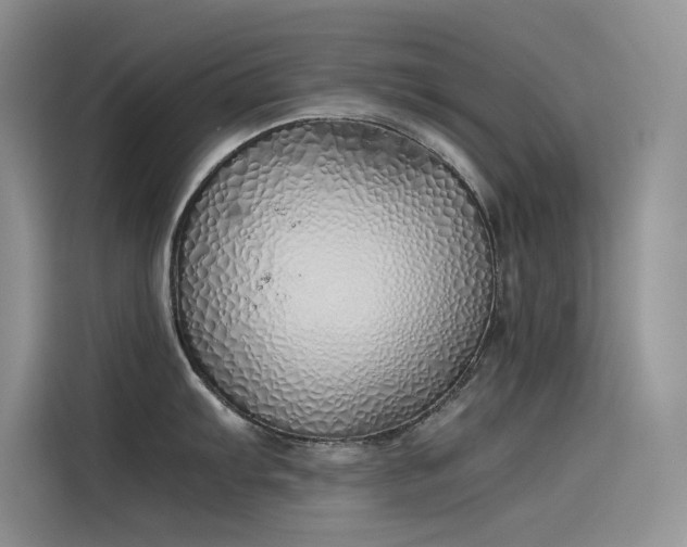 X0000115621103200911171311