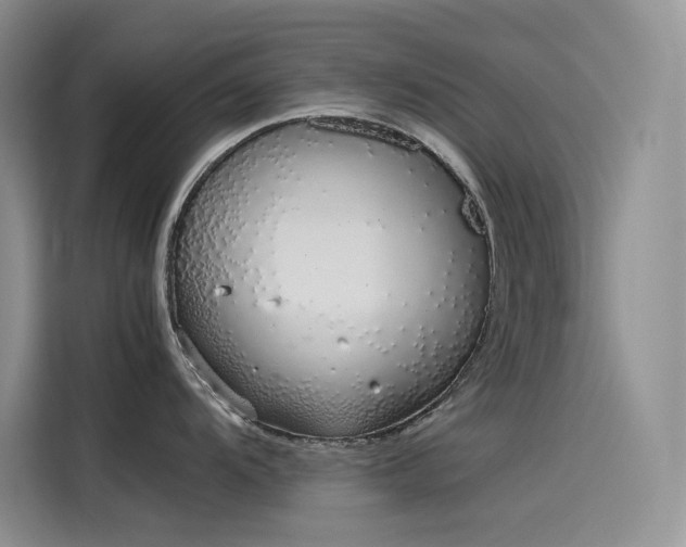 X0000115621104200911171311