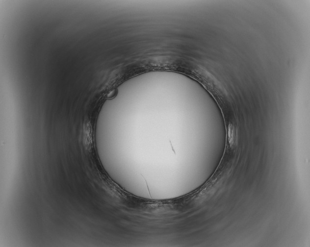 X0000115621107200911171310