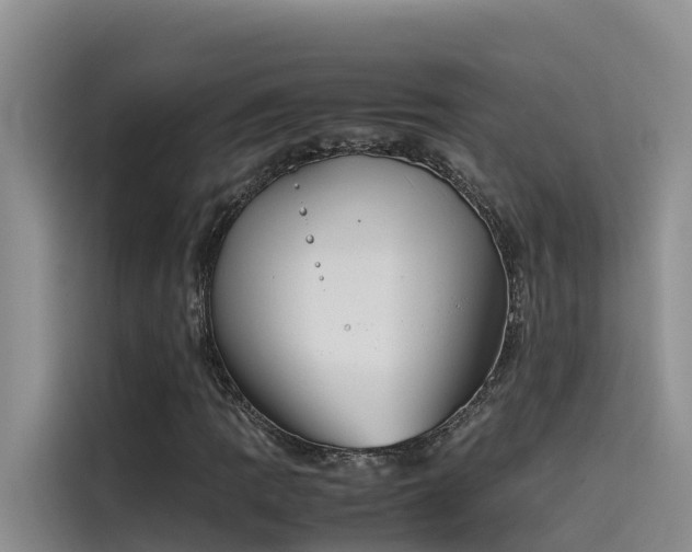 X0000115621109200911171310