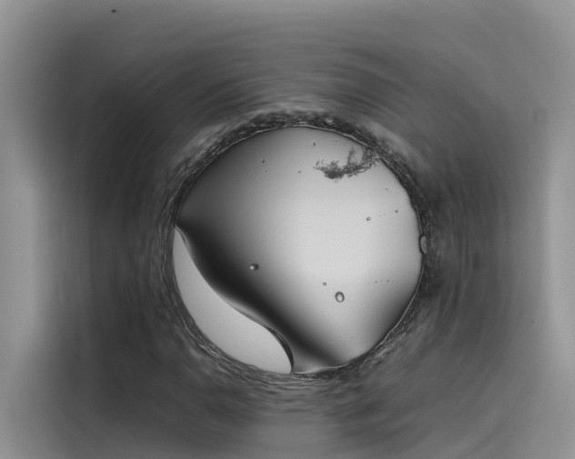 X0000115621110200911171310