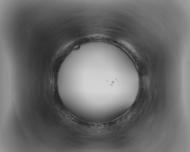 X0000115621111200911171310