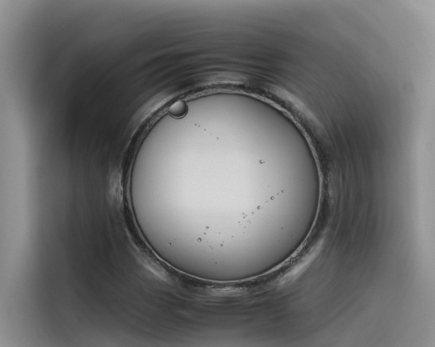 X0000115621113200911171310