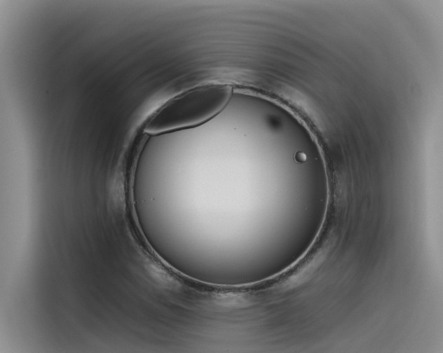 X0000115621114200911171310