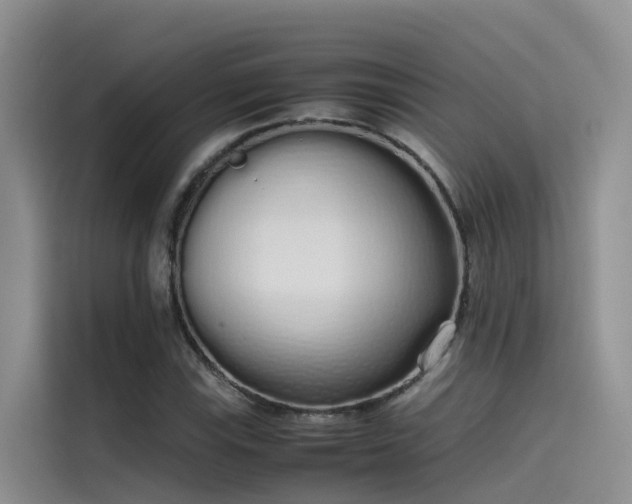 X0000115621115200911171310