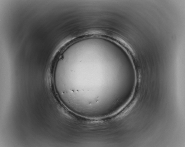 X0000115621117200911171310